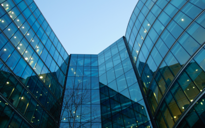 FATF Gray List and Black List: What Each Designation Means for Your AML Program